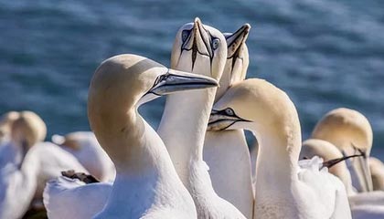 爱游戏全站app注册-球队内部风波：某俱乐部管理层引发众怒，球队管理方案