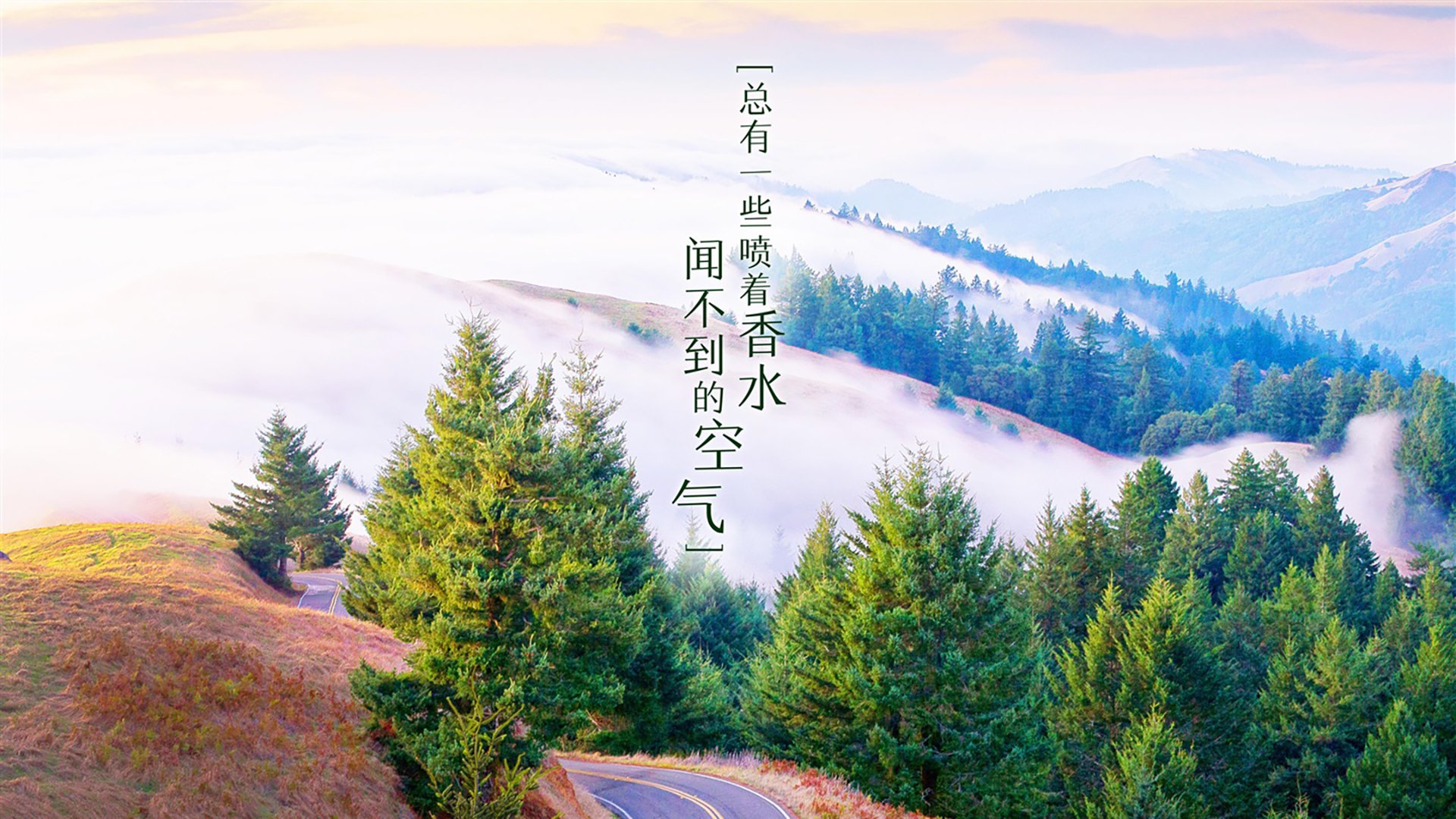 爱游戏官方-网络直播收视率破纪录，足球比赛热度飙升，足球比赛收视率排名