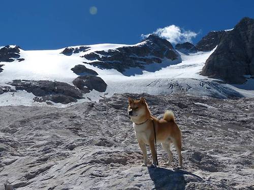 爱游戏娱乐-配速调整对蝶泳成绩的影响，配速调整对蝶泳成绩的影响有哪些