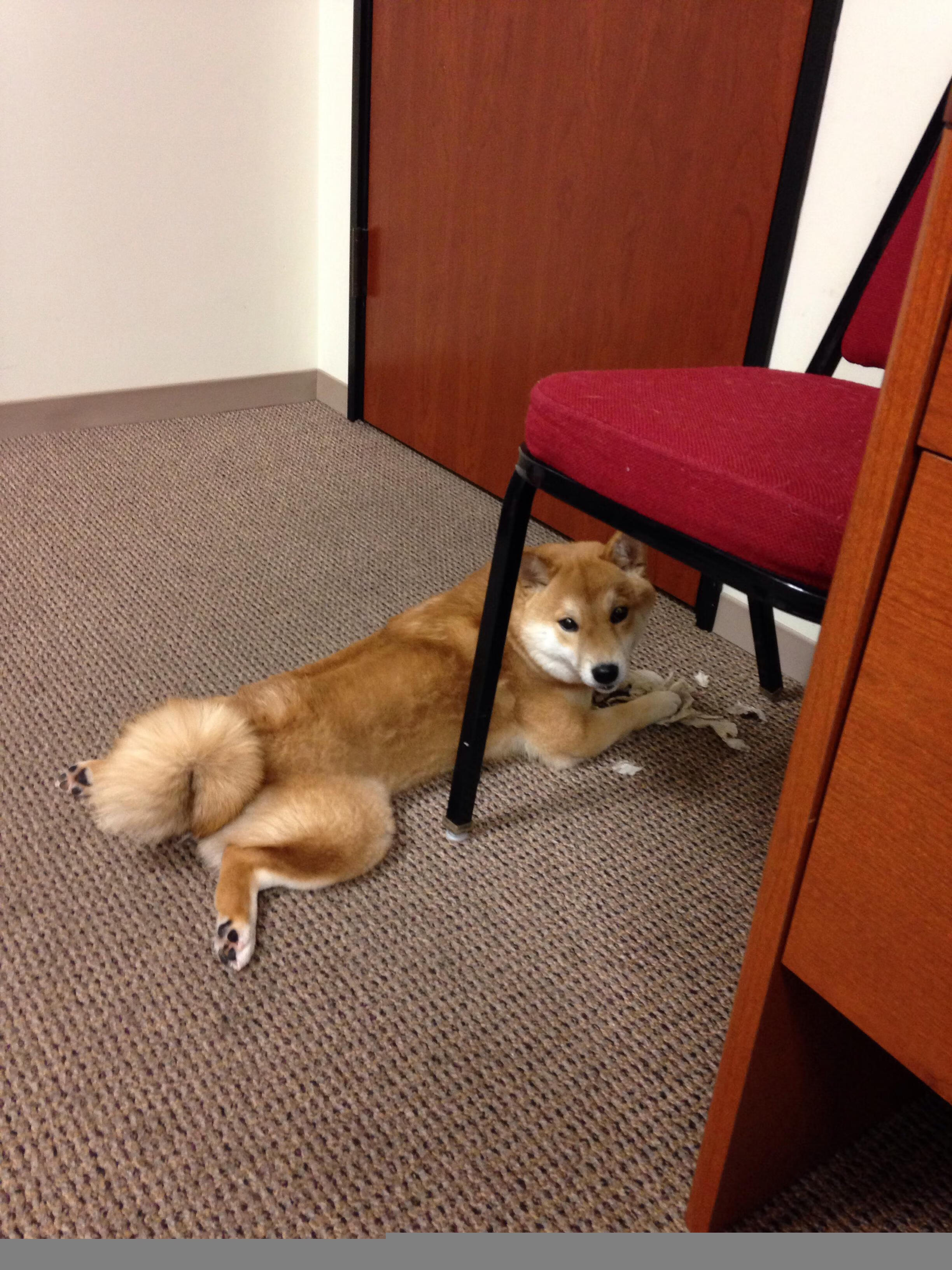 AYX体育官网-中国足球联赛俱乐部间竞争日益激烈，中国足球 俱乐部