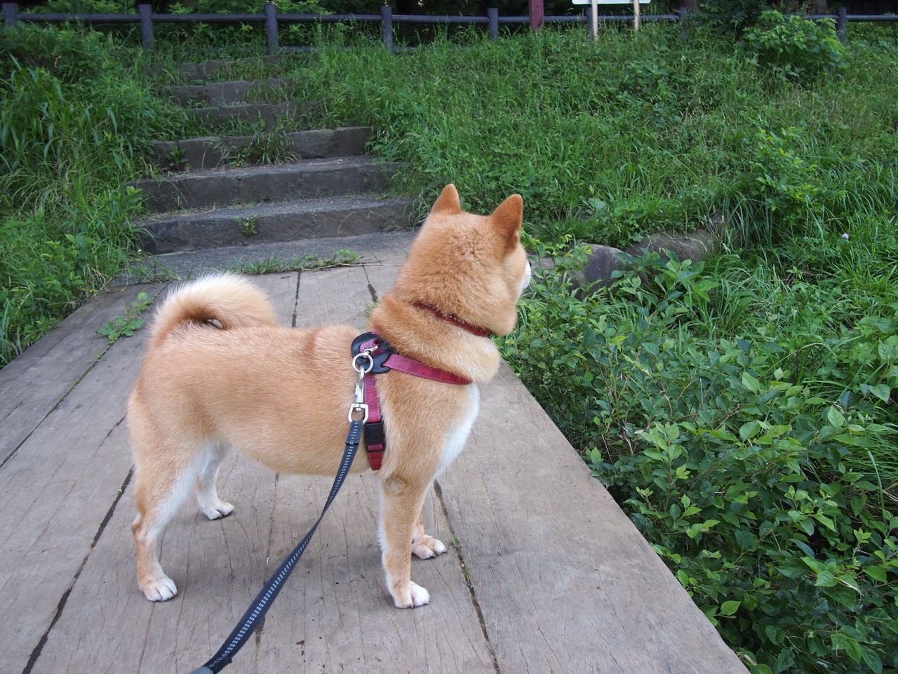 爱游戏平台-国家队训练引入音乐节奏方案帮助控制呼吸节奏，国家队参加的音乐节目