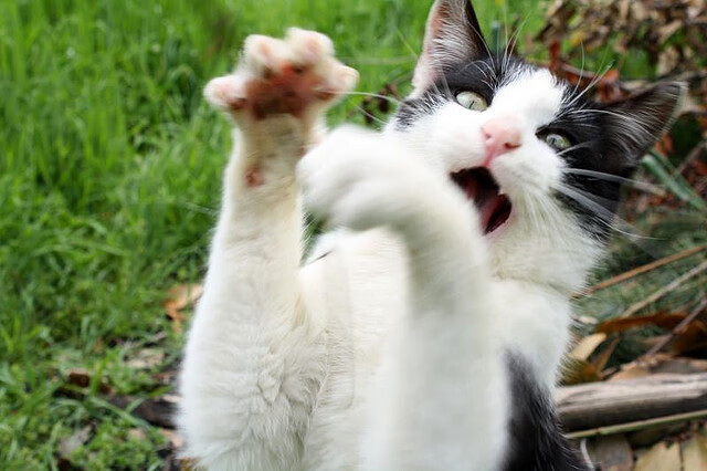 爱游戏体育官方网站-意甲联赛的战术分析工具升级，意甲赛制规则