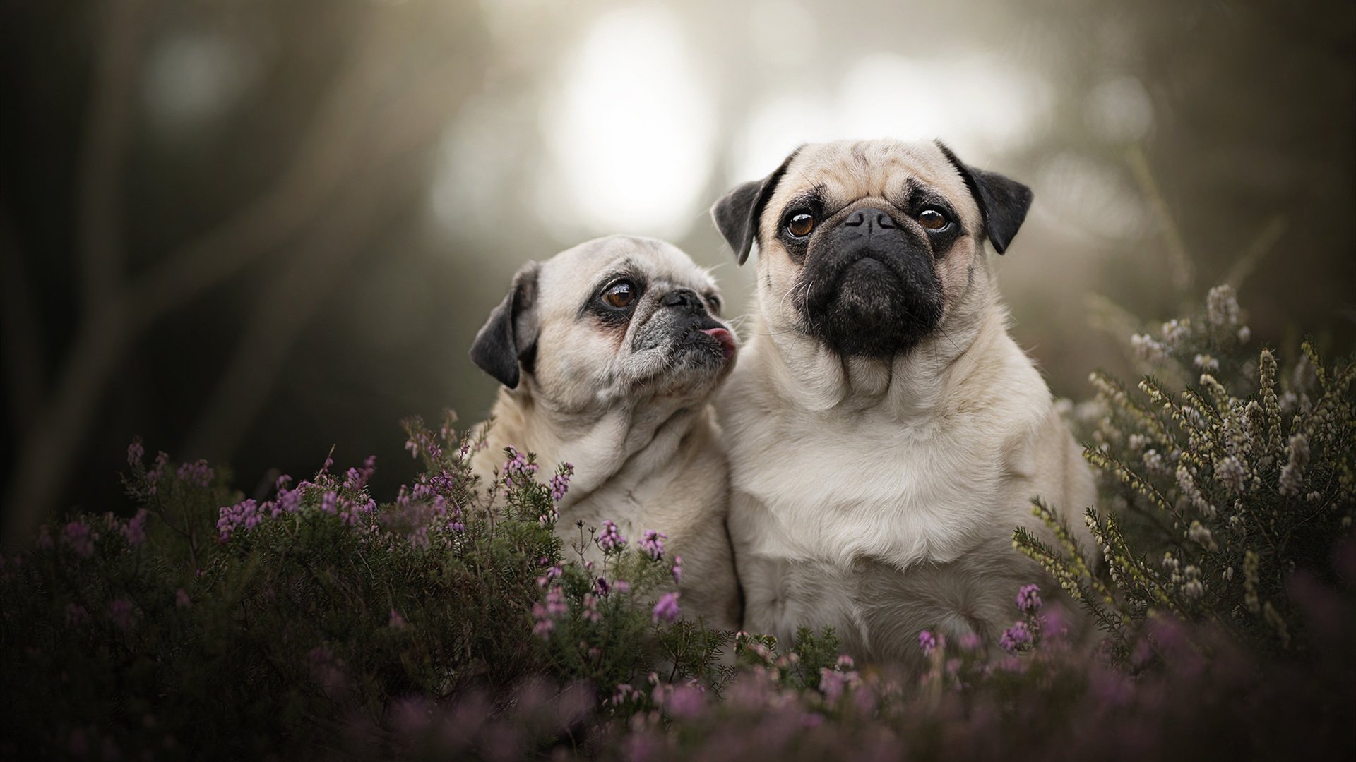 爱游戏体育官方网站-简：作为全黑队的边锋，他的突破能力为全黑队注入源源动力，mf简黑