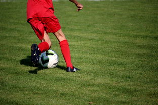 爱游戏体育（AYX）官方APP下载-足球场馆数字化管理平台正式上线，提升运营效率，足球场管理系统app