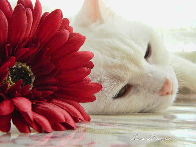 爱游戏-马拉松赛事路线调整公布，马拉松赛事时间表